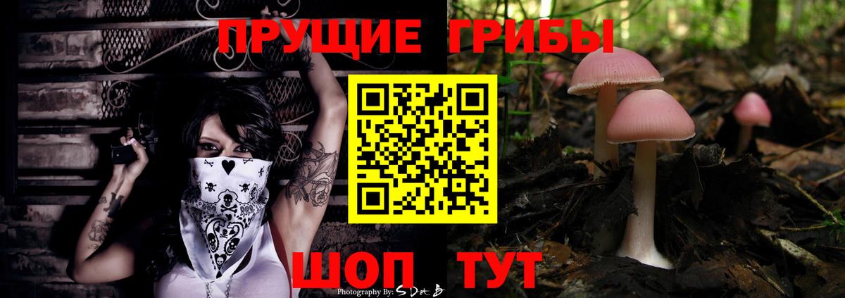 Сибай  Галлюциногенные грибы мицелий  Вход с VPN 